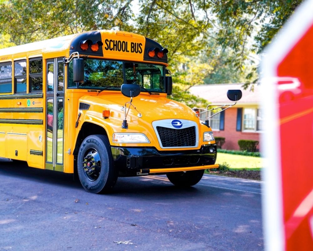 Blue Bird vs. International: Which School Bus Brand Lasts Longer?