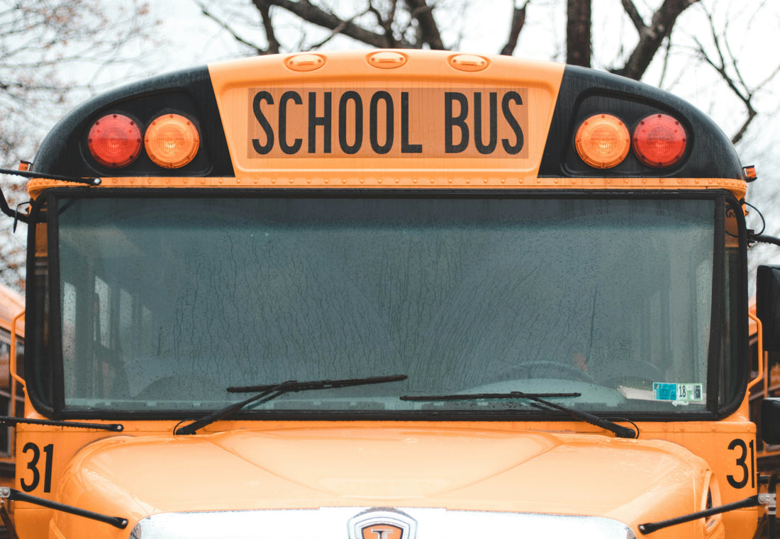school bus blue bird