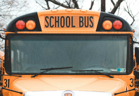 school bus blue bird