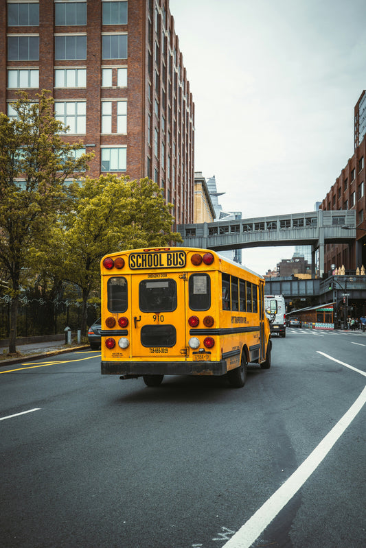 Vision vs. All American: Choosing the Right Blue Bird Platform for Your Fleet