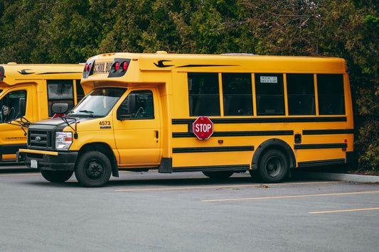 Mini Bus vs. Shuttle Bus: Which Is Right for You?