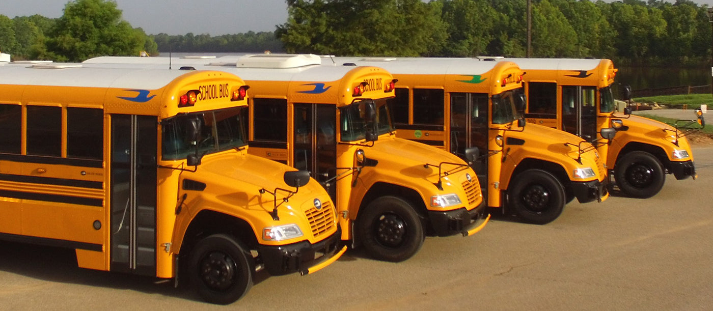 School Buses for Sale in Louisiana