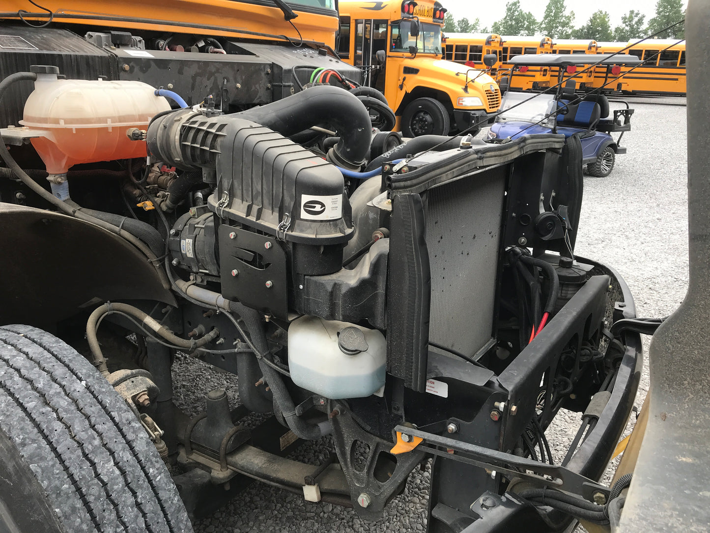 RF800286
