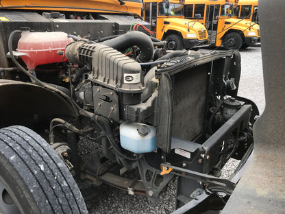 RF800291