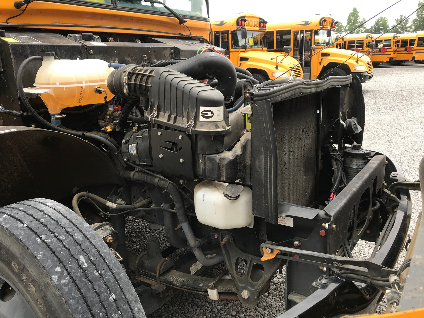 RF800285