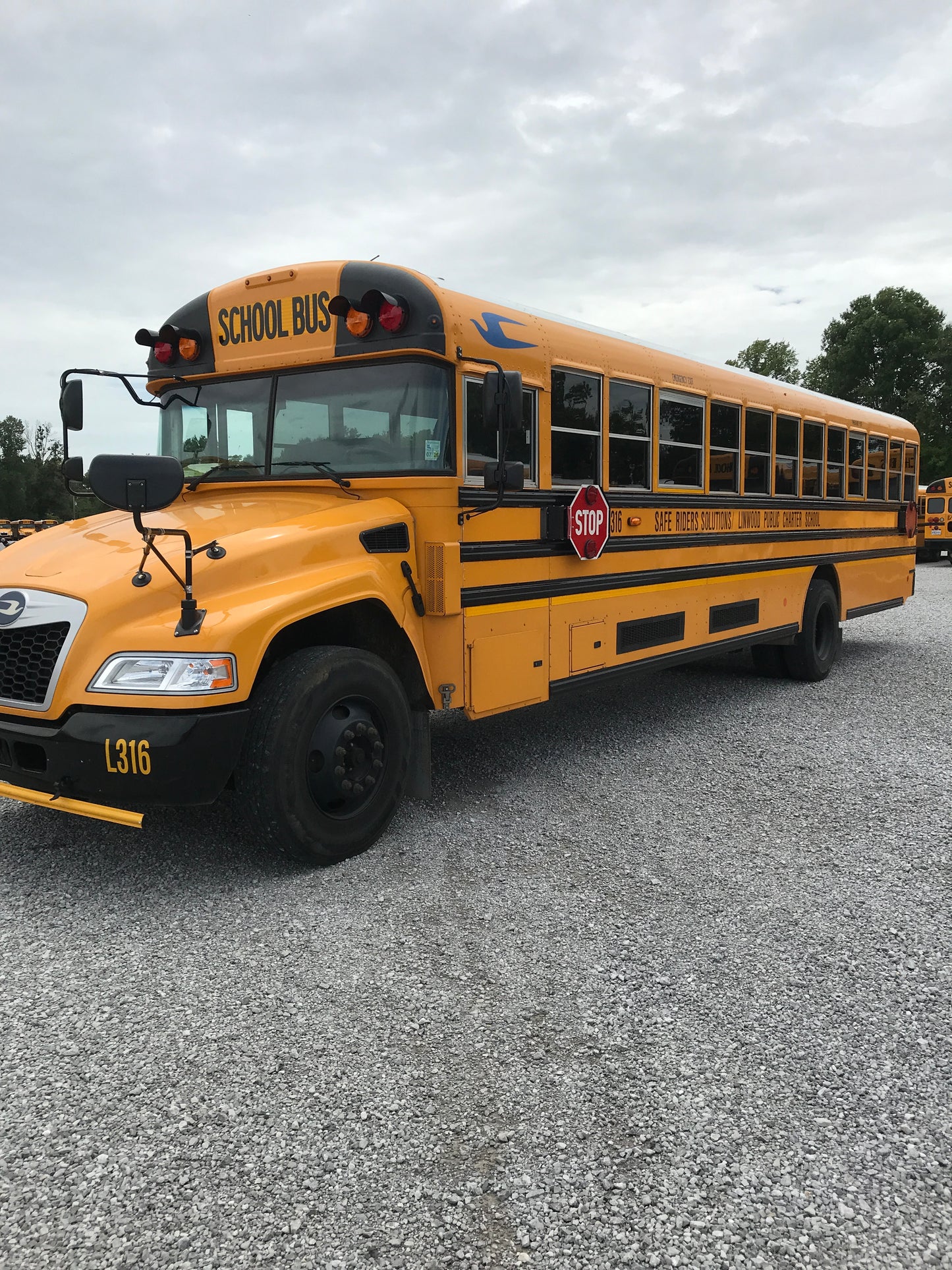 SF807173