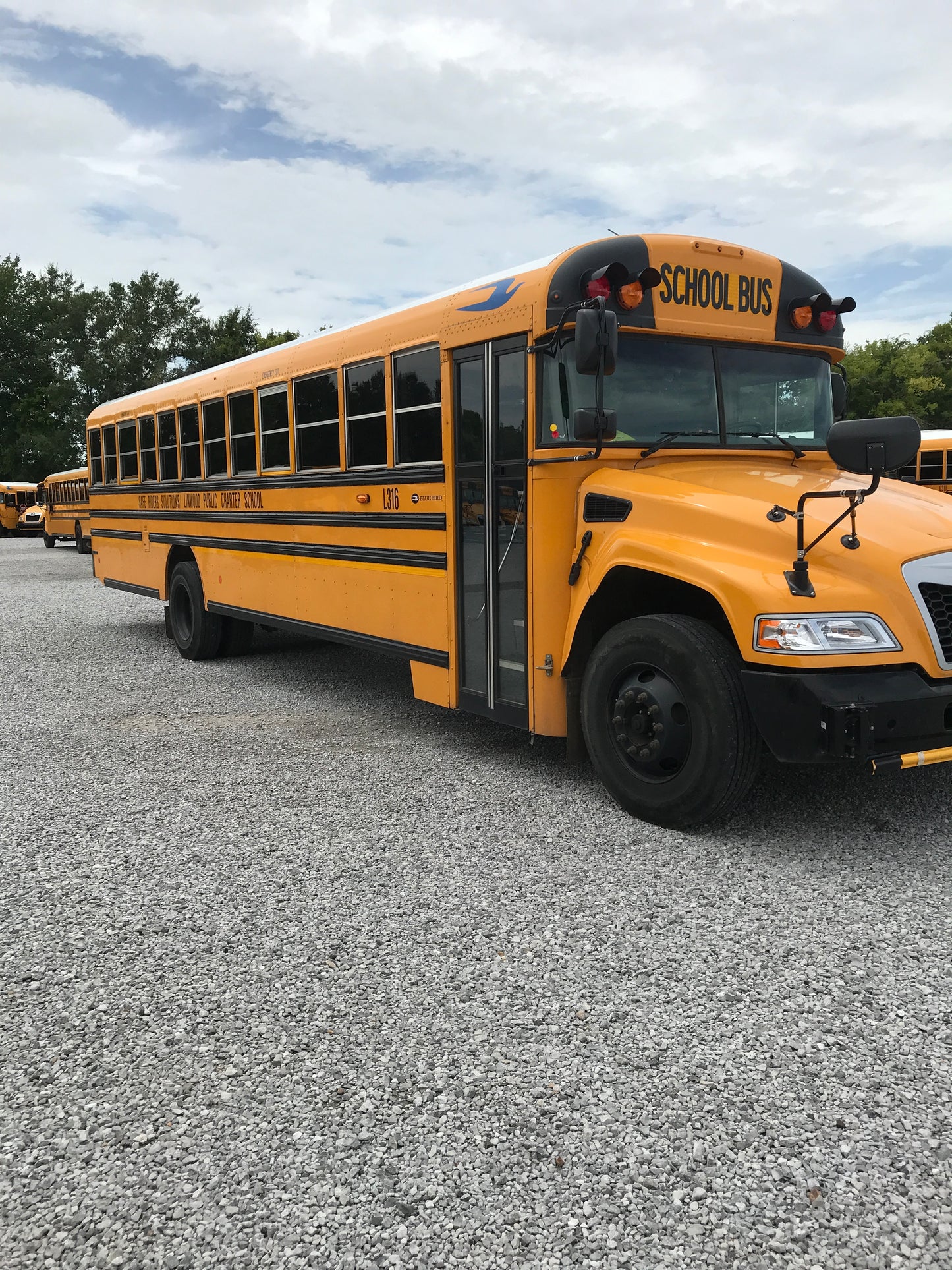 SF807173
