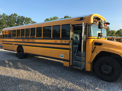 NF383019
