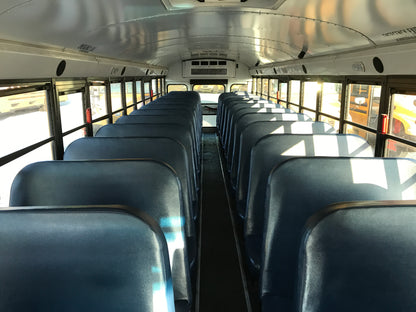 NF383019
