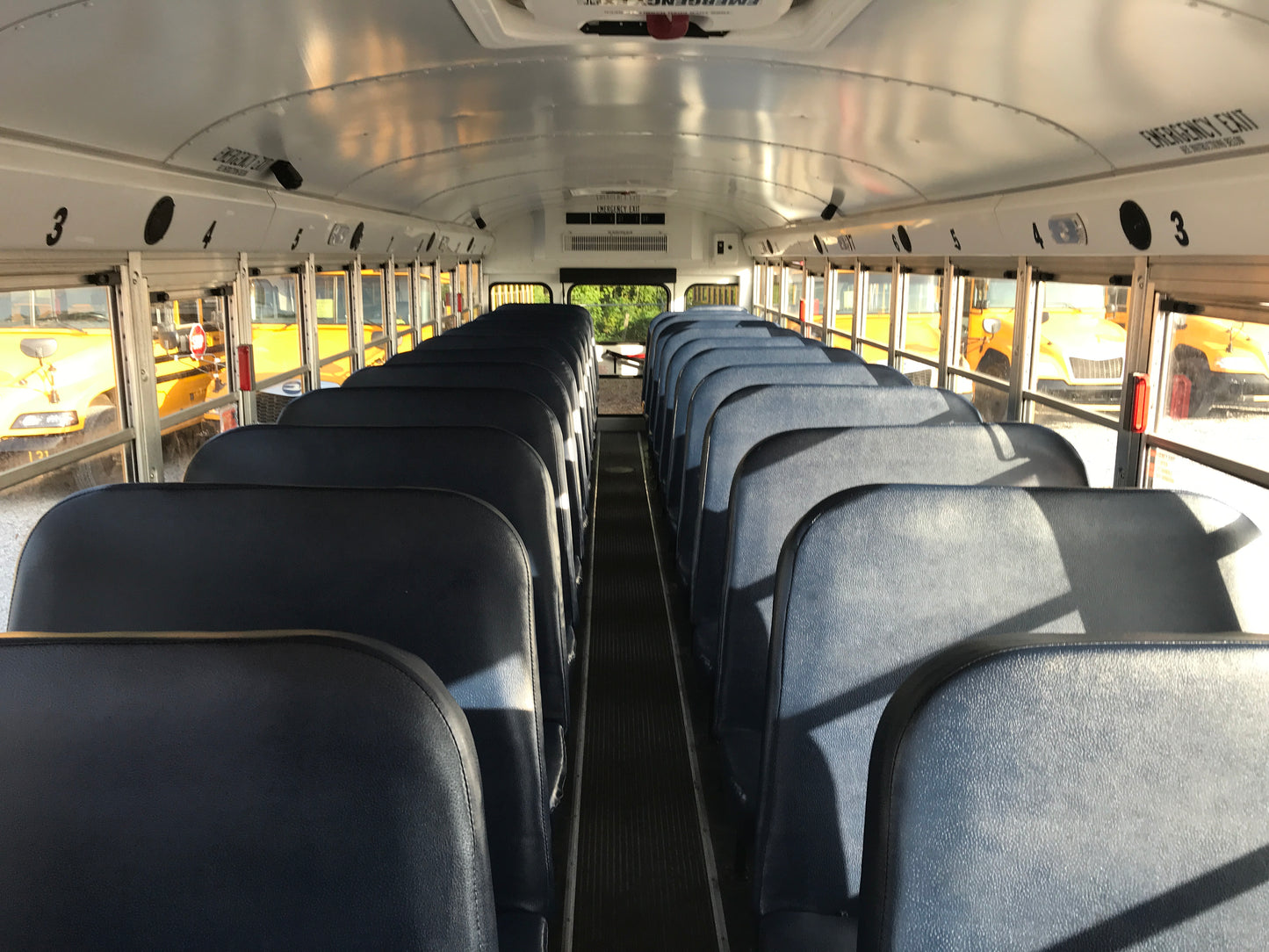 RF803299