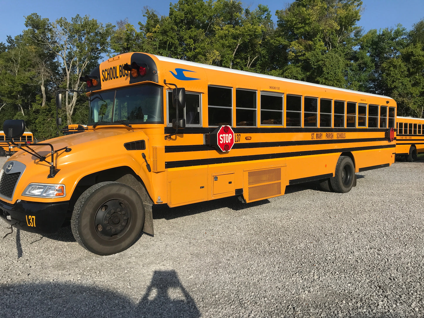 RF803301