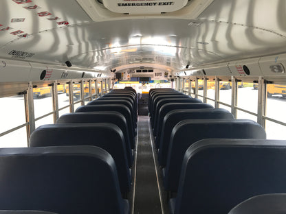 SF807119