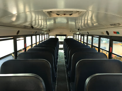 MF371950