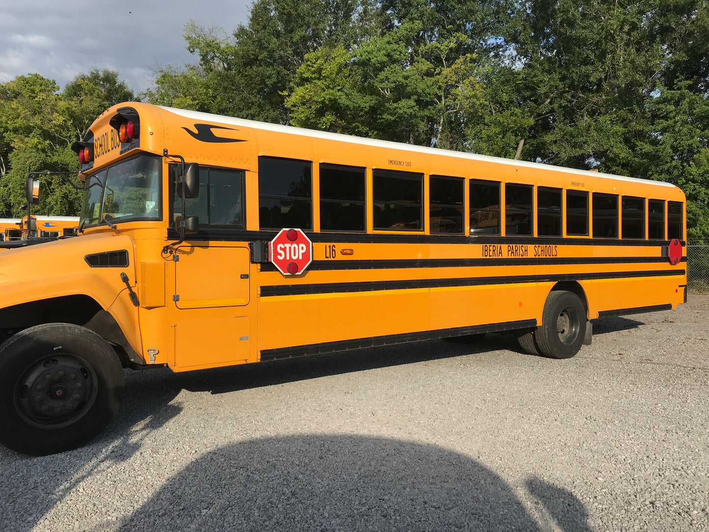 NF379743