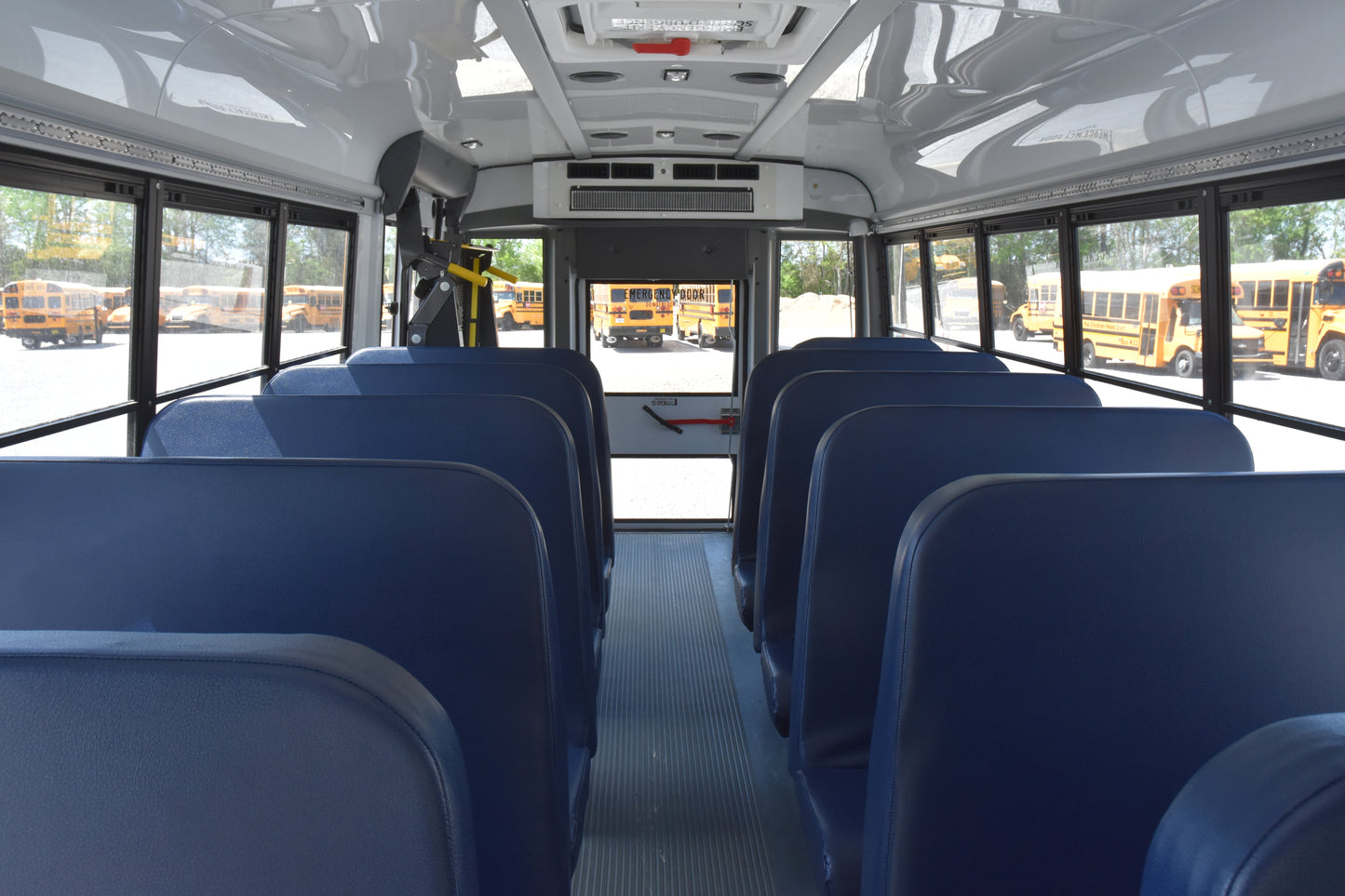 RN013481