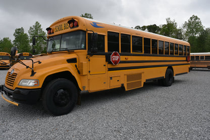 LF365776