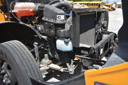 RF800331