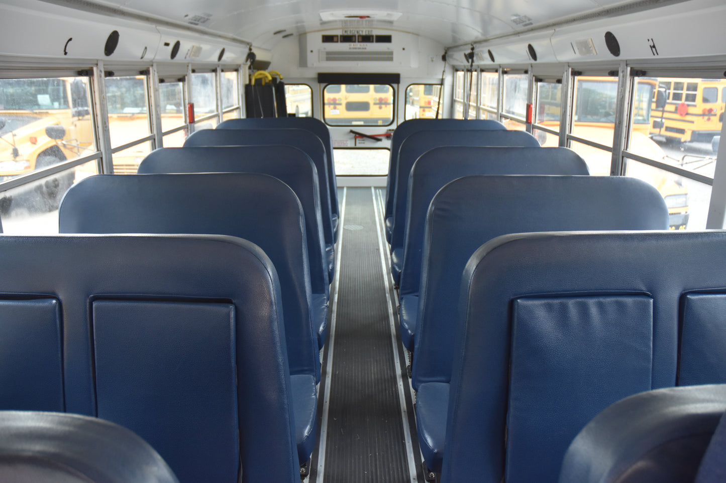 KF348683
