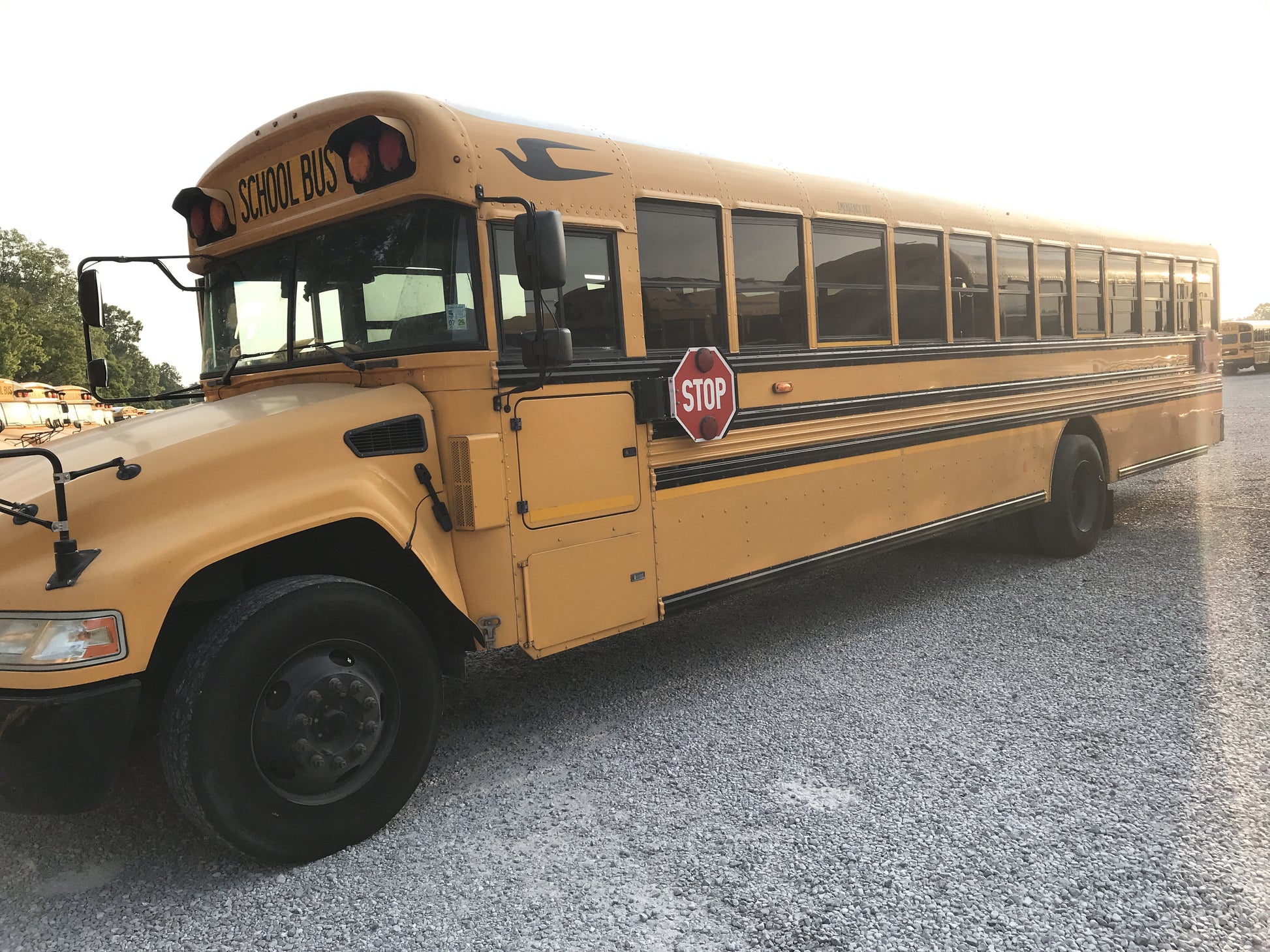 MF371949 driver side