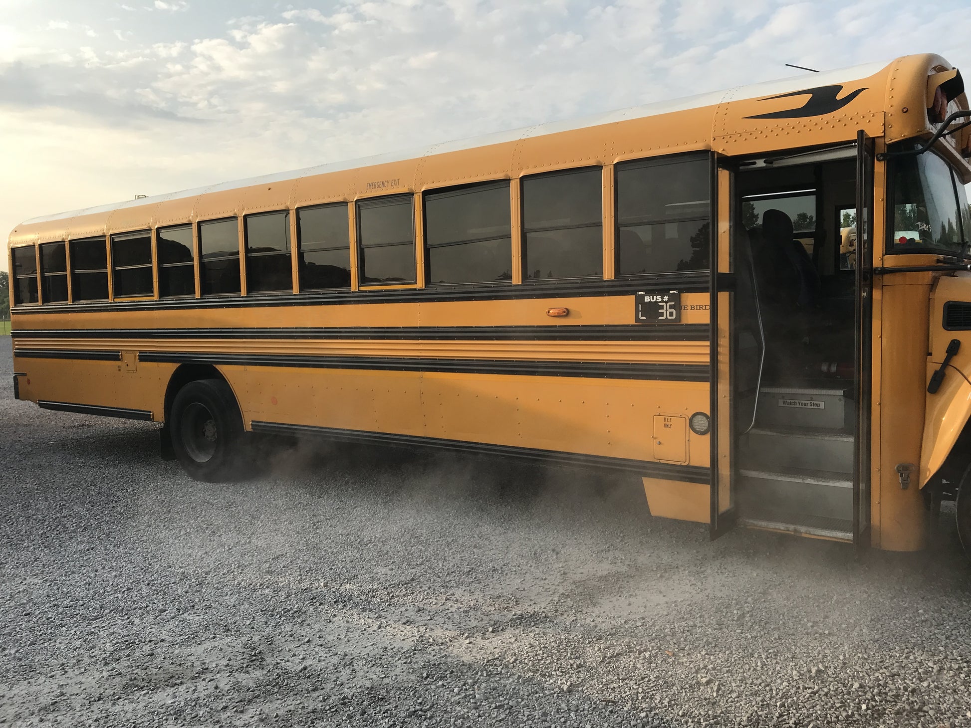 MF371949 passenger side