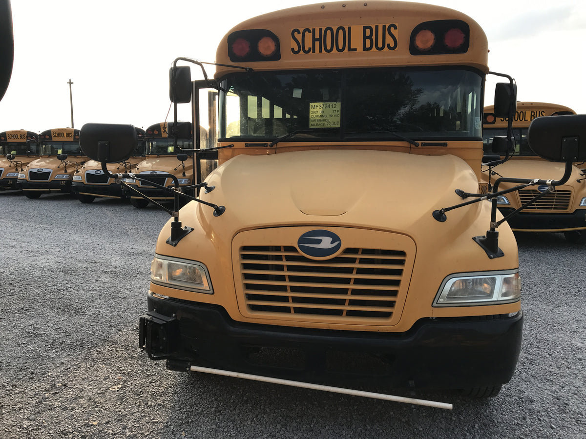 MF373412 front