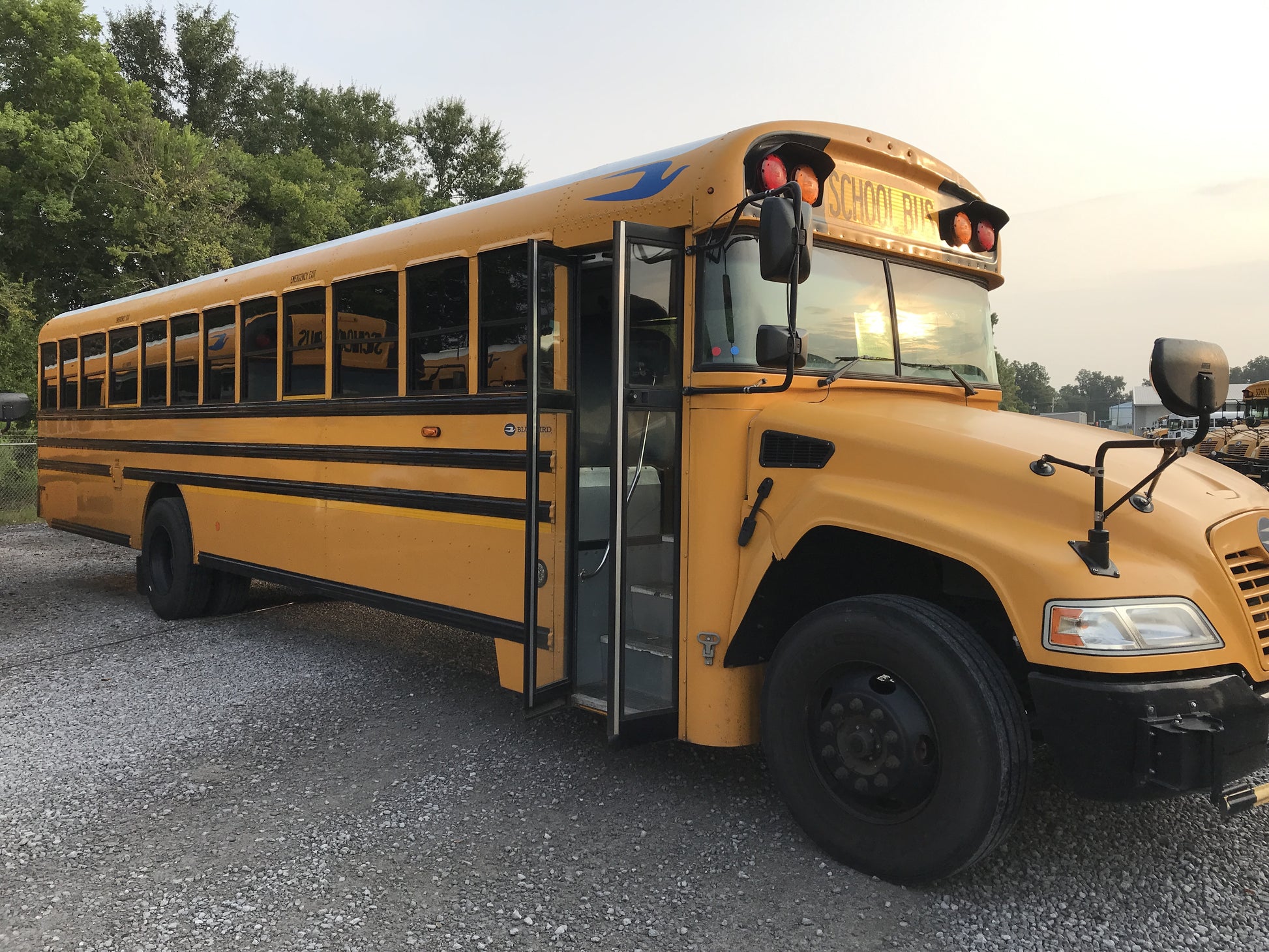 NF379687 passenger side