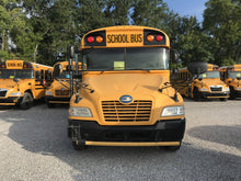 NF379743 front