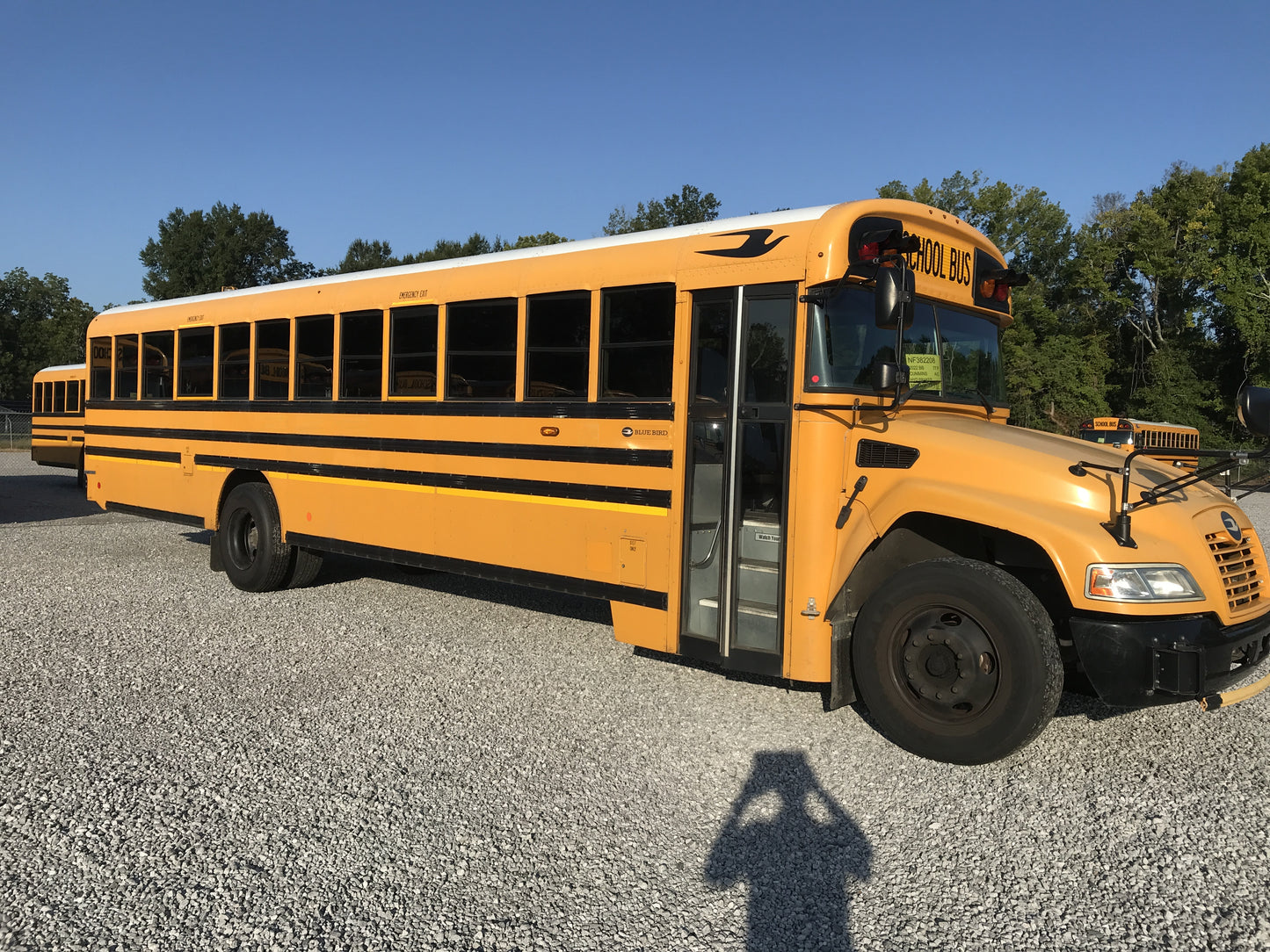NF382208