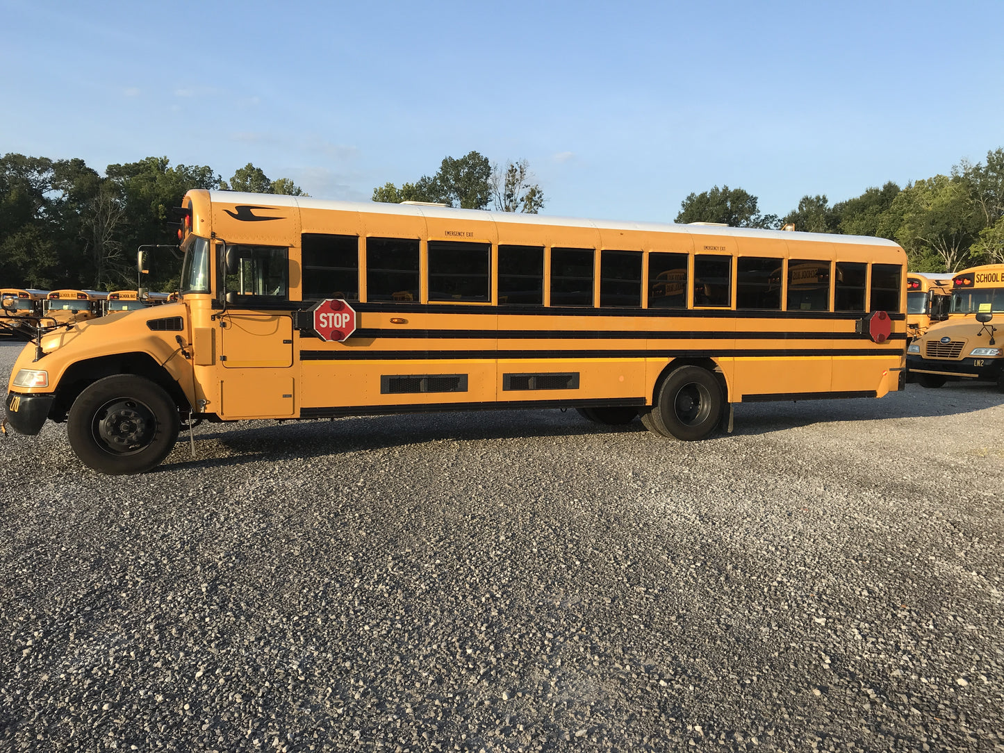 NF383023