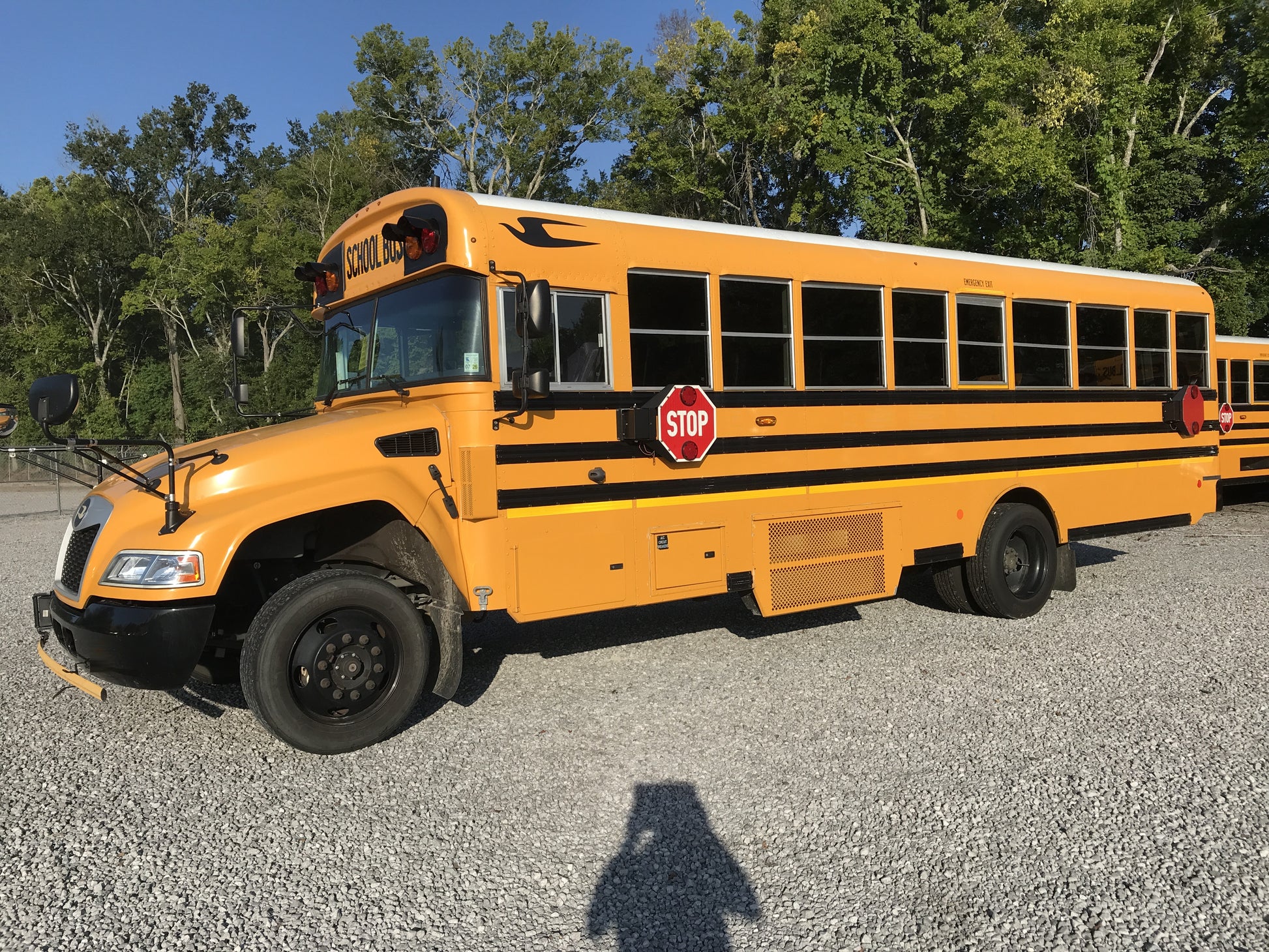 PF394001